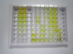 ELISA Kit for Histamine (HA)