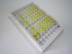 ELISA Kit for Kallikrein 1 (KLK1)