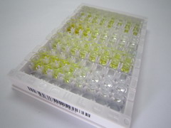 ELISA Kit for Ghrelin (GHRL)