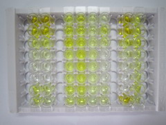 ELISA Kit for Ghrelin (GHRL)