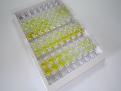 ELISA Kit for Ghrelin (GHRL)