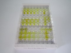 ELISA Kit for Neuromedin U (NMU)