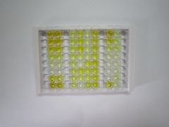 ELISA Kit for Albumin (ALB)