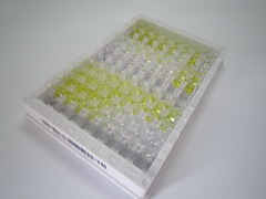 ELISA Kit for Oxytocin (OT)
