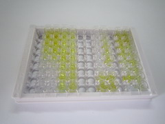 ELISA Kit for Peptide YY (PYY)