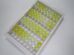 ELISA Kit for Neurotensin (NT)