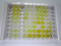 ELISA Kit for Abscisic Acid (ABA)