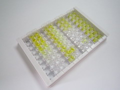 ELISA Kit for Advanced Oxidation Protein Products (AOPP)