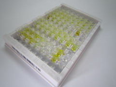 ELISA Kit for Asymmetrical Dimethylarginine (ADMA)