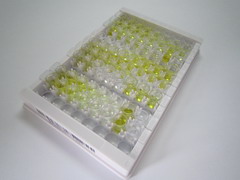 ELISA Kit for Hemoglobin (HB)