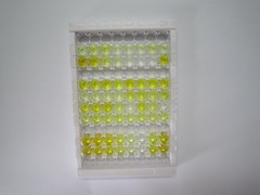 ELISA Kit for Hemoglobin (HB)