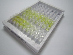 ELISA Kit for Triglyceride (TG)