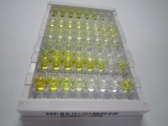 ELISA Kit for Salusin Alpha (SALa)