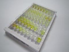 ELISA Kit for Proislet Amyloid Polypeptide (ProIAPP)