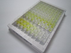 ELISA Kit for Arginine (Arg)