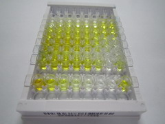 ELISA Kit for Allopregnanolone (AP)