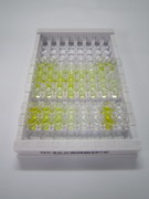 ELISA Kit for Hepcidin (Hepc)