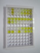 ELISA Kit for Salusin Beta (SALb)