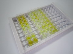 ELISA Kit for Obestatin (OB)