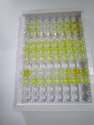 ELISA Kit for Glucagon Like Peptide 2 (GLP2)