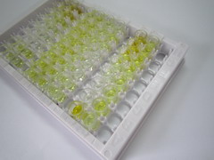 ELISA Kit for Hemoglobin Gamma 1 (HBg1)