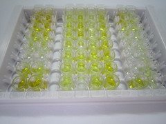 ELISA Kit for Thymosin Beta 4, Y-Chromosomal (Tb4Y)