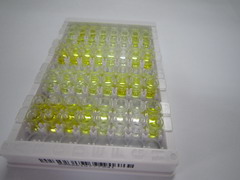 ELISA Kit for Kallikrein 12 (KLK12)