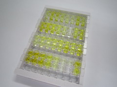 ELISA Kit for Kallikrein 14 (KLK14)