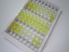 ELISA Kit for Tryptophan (Trp)