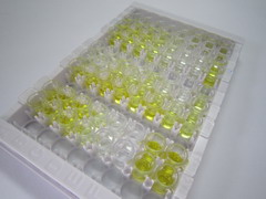 ELISA Kit for Endothelin Converting Enzyme 2 (ECE2)