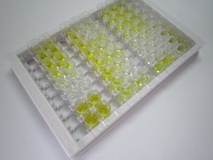 ELISA Kit for Cholecystokinin 18 (CCK18)