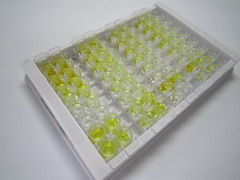 ELISA Kit for Quinolinic Acid (QA)