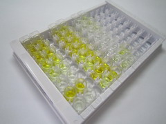 ELISA Kit for Lysophosphatidylcholine (LPC)