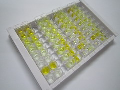 ELISA Kit for 2-Arachidonoylglycerol (2-AG)