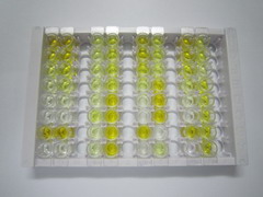 ELISA Kit for Butyric Acid (BA)