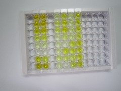 ELISA Kit for Rh Blood Group, D Antigen (RHD)