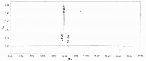 OVA Conjugated Procollagen I N-Terminal Propeptide (PINP)