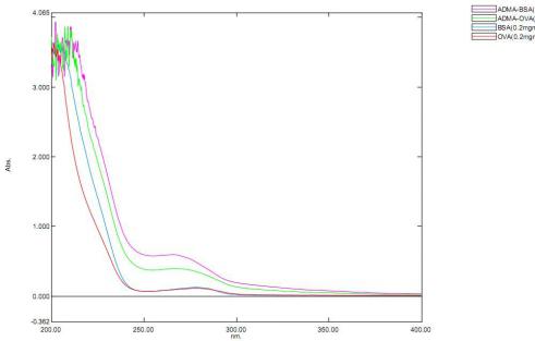 BSA Conjugated Asymmetrical Dimethylarginine (ADMA)