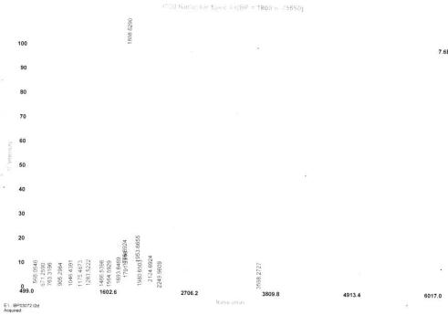 OVA Conjugated Pancreatic Elastase 1 (ELA1)