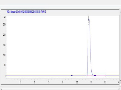 OVA Conjugated Major Basic Protein (MBP)