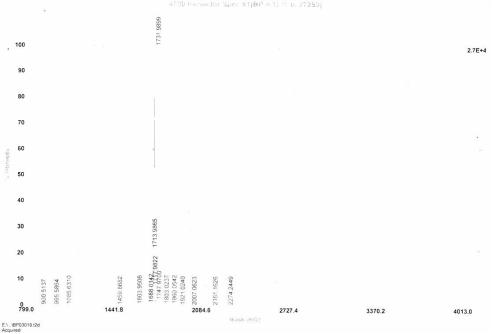 OVA Conjugated Myostatin (MSTN)