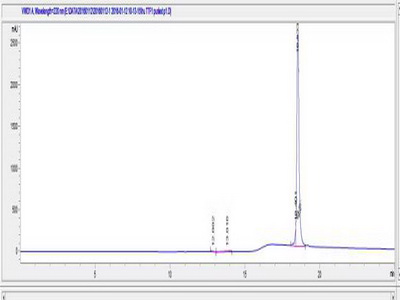 OVA Conjugated Transcription Termination Factor, RNA polymerase I (TTF1)