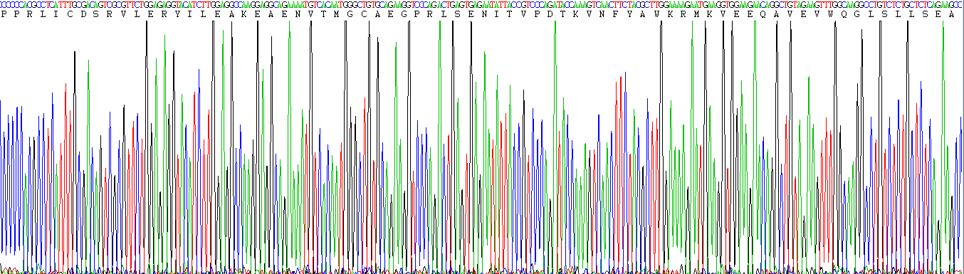 Eukaryotic Erythropoietin (EPO)