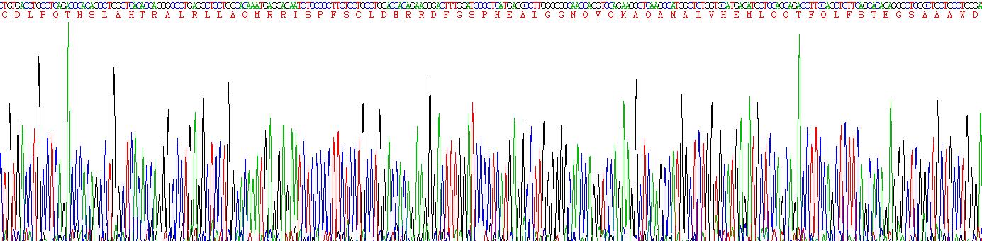 Eukaryotic Interferon Alpha (IFNa)