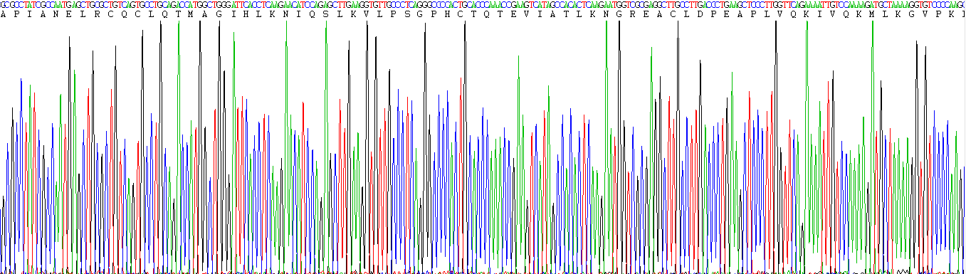 Eukaryotic Chemokine (C-X-C Motif) Ligand 1 (CXCL1)