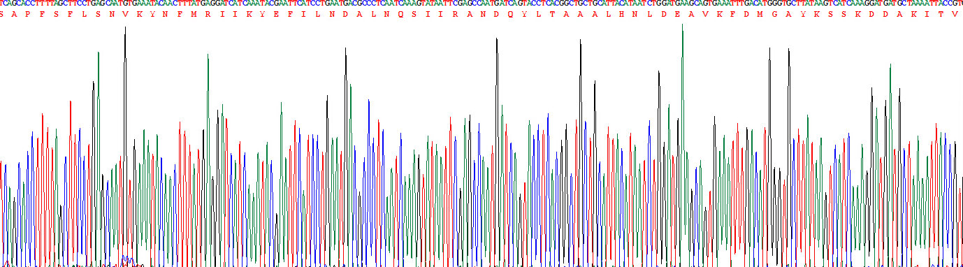 Eukaryotic Interleukin 1 Alpha (IL1a)