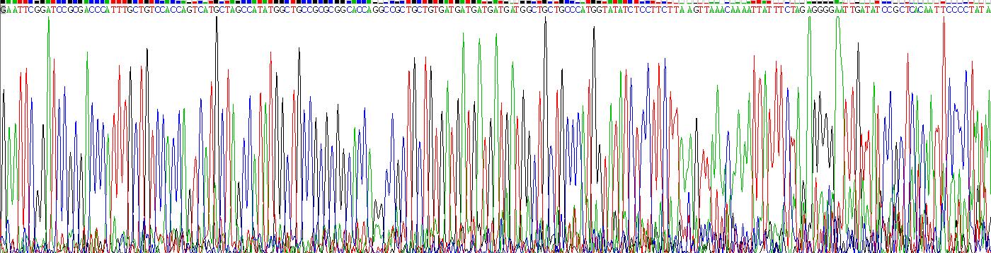 Eukaryotic Interleukin 9 (IL9)