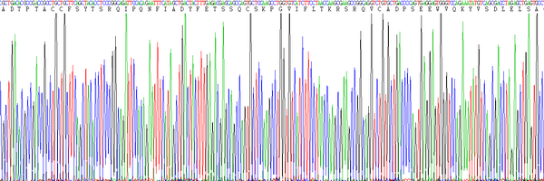 Eukaryotic Macrophage Inflammatory Protein 1 Alpha (MIP1a)