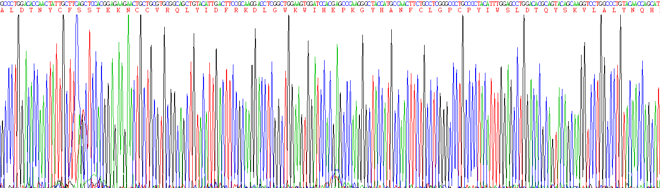 Eukaryotic Transforming Growth Factor Beta 1 (TGFb1)