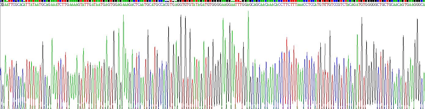 Eukaryotic Vascular Endothelial Growth Factor C (VEGFC)